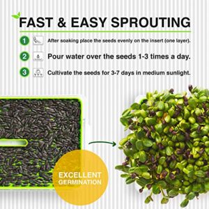 Microgreens Seeds Kit Organic NonGMO Heirloom - Seeds | 6-Pack (150g) Alfalfa, Arugula, Beetroot, Cress, Radish, Sunflower | Indoor Planting and Sprouting