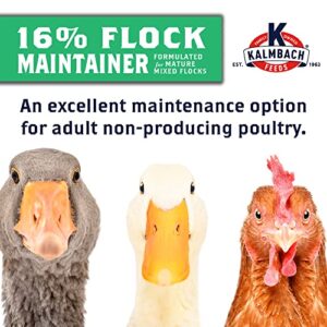 16% Flock Maintainer Pelleted Feed for Mixed Flocks of Poultry, 50 lb Bag