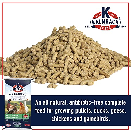 16% Flock Maintainer Pelleted Feed for Mixed Flocks of Poultry, 50 lb Bag