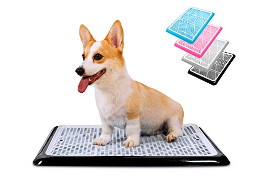 Pet Awesome Dog Potty Tray/Puppy Pee Pad Holder 25”x20” Indoor Wee Training for Small and Medium Dogs