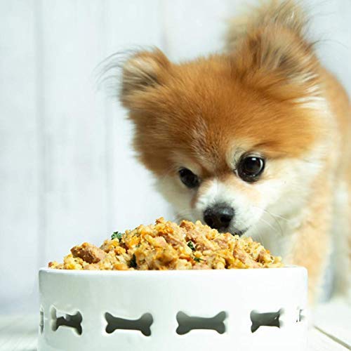 Portland Pet Food Company Human-Grade Wet Dog Food Pouch: Fresh Dog Food Mixer and Dog Food Topper Multipack Packets