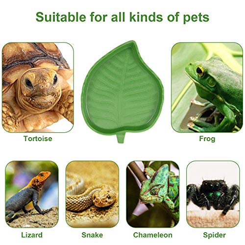 2 Pieces Leaf Reptile Food Water Bowl Plate Dish for Tortoise Corn Snake Crawl Pet Drinking and Eating, 2 Sizes