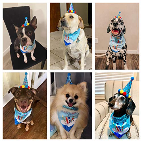 ADOGGYGO Dog Birthday Bandana Scarf and Dog Girl Boy Birthday Party Hat with Cute Dog Bow Tie for Small Medium Large Dog Pet (Large, Blue)