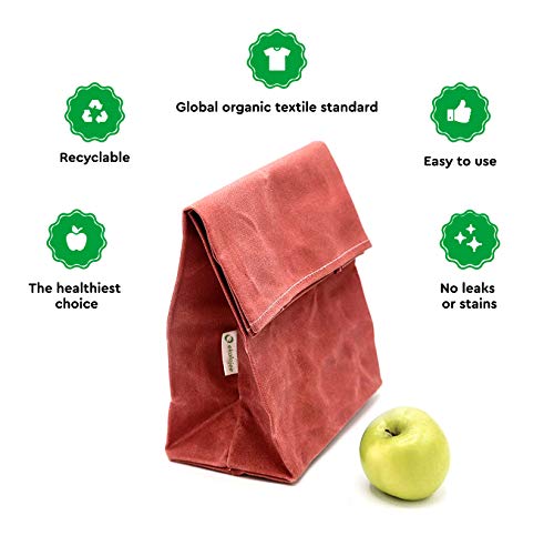 EKOLOJEE Waxed Canvas Lunch Bag | Foldable and Washable Lunch Box for Office, Picnic, Work and Outing | Worthbuy Lunch Bag for Adult Men & Women | Reusable in Zero Waste Packaging | Coral Tree Pink