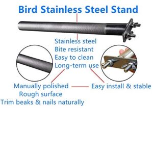 Bird Perch Stainless Steel Stand Parrot Rod Grinding Claws Trimming Beak Nails Grinding Stick Exercise Platform for Parakeet Cockatiel Conure African Grey Macaw Finch Bird Cage Accessories (XL)