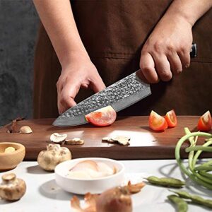 Damascus Kitchen Knife, 8 Inch Japanese Chefs Knife VG 10 Damascus Steel Knife High Carbon 67-Layer Chopping Knife, Meat Sushi Fruit Vegetable Cutting Gyuto Knife with Ergonomic G10 Handle