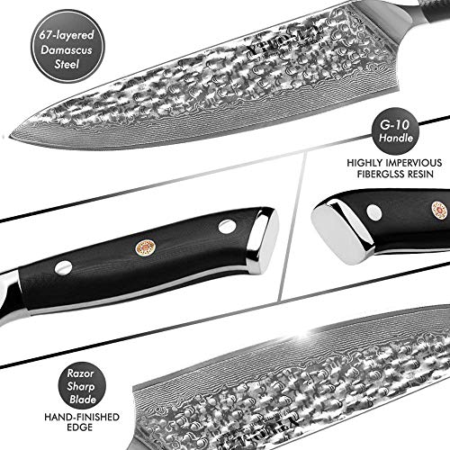 Damascus Kitchen Knife, 8 Inch Japanese Chefs Knife VG 10 Damascus Steel Knife High Carbon 67-Layer Chopping Knife, Meat Sushi Fruit Vegetable Cutting Gyuto Knife with Ergonomic G10 Handle