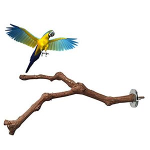 pinvnby parrot perches natural birds stand wild grape stick grinding paw climbing wood cage accessories and toy for parakeet, lovebirds,budgies,cockatiels and finches