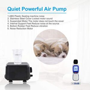 hygger Small Quietest Aquarium Air Pump, Adjustable Oxygen Pump 2 Air Outlets Ultra Silent Powerful Aerator Pump 160GPH 5W