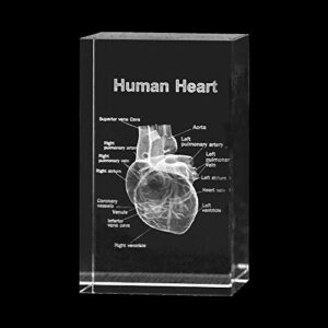 3d human heart anatomical model paperweight with laser engraved high definition structure made of optical crystal glass cube as teaching tool or science gift (no included led base)(5x5x7.5 cm)