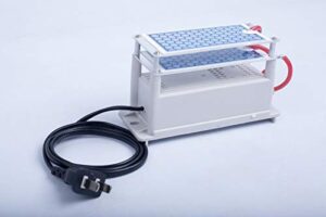 ozone generator air purifier 10000 mg/h equal to 10g/h ozone plates ozone maker machine 110v