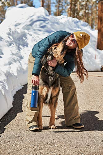 Hydro Flask Wide Mouth Flex Sip Lid Bottle - Stainless Steel Reusable Water Bottle - Vacuum Insulated, Dishwasher Safe, BPA-Free, Non-Toxic