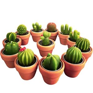 succulent candles, novelty cactus tealight candle baby shower candle decorations for party favors terrarium cacti candels home decor…