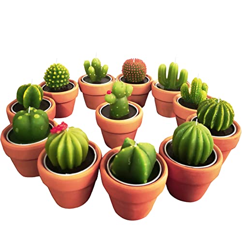 Succulent Candles, Novelty Cactus Tealight Candle Baby Shower Candle Decorations for Party Favors Terrarium Cacti candels Home Decor…