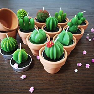 Succulent Candles, Novelty Cactus Tealight Candle Baby Shower Candle Decorations for Party Favors Terrarium Cacti candels Home Decor…