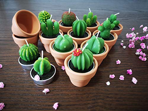 Succulent Candles, Novelty Cactus Tealight Candle Baby Shower Candle Decorations for Party Favors Terrarium Cacti candels Home Decor…