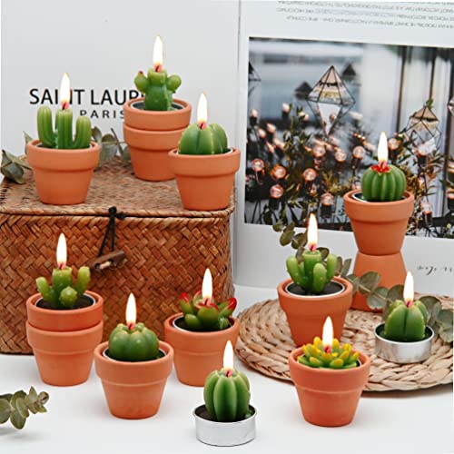 Succulent Candles, Novelty Cactus Tealight Candle Baby Shower Candle Decorations for Party Favors Terrarium Cacti candels Home Decor…