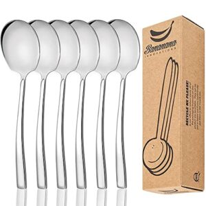 stainless steel serving spoon set of 6 pieces for catering, dishwasher safe, 9.14 inches large serving utensils of spoons
