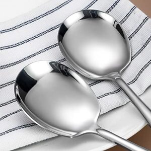 Stainless Steel Serving Spoon Set of 6 Pieces for Catering, Dishwasher Safe, 9.14 Inches Large Serving Utensils of Spoons