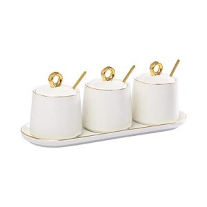 white ceramic sugar bowls condiment pots spice jars seasoning box set with lid spoon and tray-sets of 3