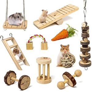 sofier hamster chew toys set natural wooden hamster toys and accessories for cage guinea pig chew toys for teeth small animal toys syrian hamster rats chinchillas gerbils hamster swing seesaw