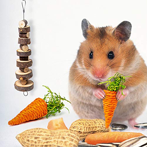 Sofier Hamster Chew Toys Set Natural Wooden Hamster Toys and Accessories for Cage Guinea Pig Chew Toys for Teeth Small Animal Toys Syrian Hamster Rats Chinchillas Gerbils Hamster Swing Seesaw