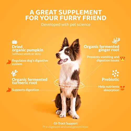 ROGUE PET SCIENCE Pumpkin Pro for Dogs - Tasty Powdered Digestive Support Food Topper w/Organic Pumpkin - Supports Prebiotic Fiber Source & Nutrition - Helps Loose Stool and Gut Inflammation(5.25 oz)