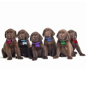 Upgraded Puppy Collars for Litter Puppy ID Collars Whelping Supplies Soft Nylon Breakaway Coloured Collars with 12 ID Tags and 6 Record Keeping Charts(S)