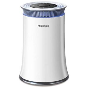 hisense air purifier with true hepa technology, air purifier for home allergies pets dander smokers in bedroom, 25db quiet air cleaner remove smoke dust mold pollen for large room - kj120