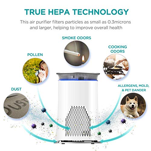 Hisense Air Purifier with True HEPA Technology, Air Purifier for Home Allergies Pets Dander Smokers in Bedroom, 25db Quiet Air Cleaner Remove Smoke Dust Mold Pollen for Large Room - KJ120