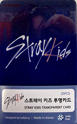 FANCY105 K-POP Group Transparent Photocards Set - 25P (Stray Kids)