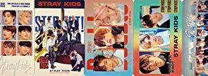 FANCY105 K-POP Group Transparent Photocards Set - 25P (Stray Kids)