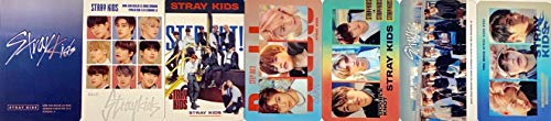 FANCY105 K-POP Group Transparent Photocards Set - 25P (Stray Kids)