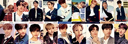 FANCY105 K-POP Group Transparent Photocards Set - 25P (Stray Kids)