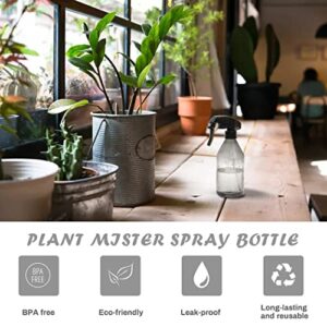 Plant Mister Water Spray Bottle - Fine Mist Spray Bottle for Flowers, Plants, Gardening, Cleaning Solutions - 10oz, Plastic