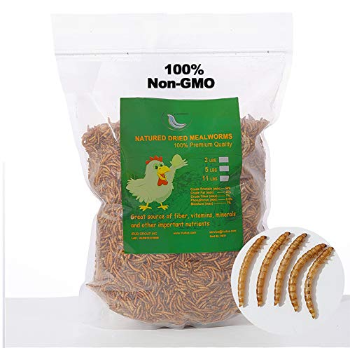 WORKPOINT 5LB 100% Natural Non-GMO High Protein Dried Mealworms, Large Size No Moisture, Perfect for Chickens Birds Hedgehog Hamster Fish Reptile Turtles