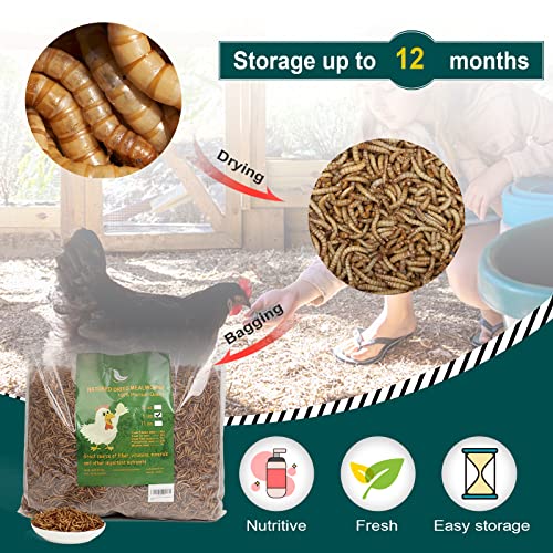 WORKPOINT 5LB 100% Natural Non-GMO High Protein Dried Mealworms, Large Size No Moisture, Perfect for Chickens Birds Hedgehog Hamster Fish Reptile Turtles