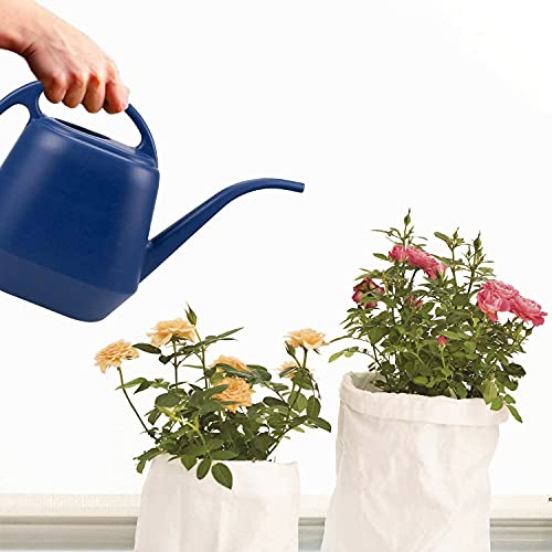 Fasmov Plastic Watering Can, 1-Gallon, Blue