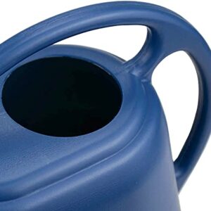 Fasmov Plastic Watering Can, 1-Gallon, Blue