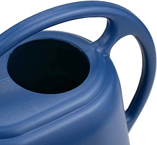 Fasmov Plastic Watering Can, 1-Gallon, Blue