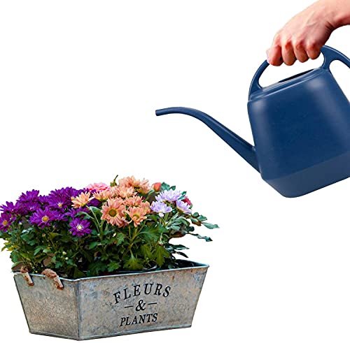 Fasmov Plastic Watering Can, 1-Gallon, Blue