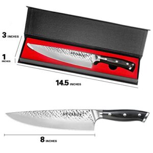 Pro Chef Knife 8 Inch, Japanese AUS-10V Super Stainless Steel Kitchen Knife with Hammer Finish, Chefs Knife with a triple-riveted Ergonomic Handle, Professional Durable Cooking Knife with Gift Box