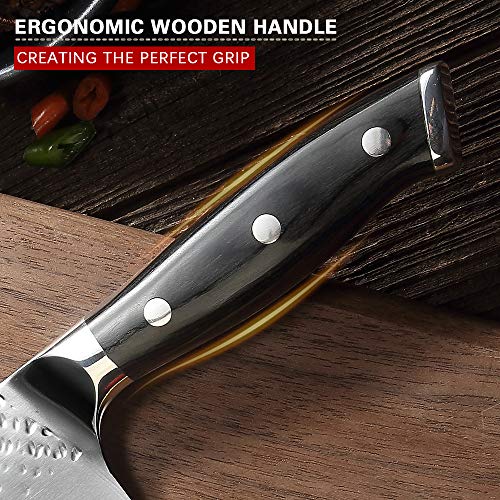 Pro Chef Knife 8 Inch, Japanese AUS-10V Super Stainless Steel Kitchen Knife with Hammer Finish, Chefs Knife with a triple-riveted Ergonomic Handle, Professional Durable Cooking Knife with Gift Box