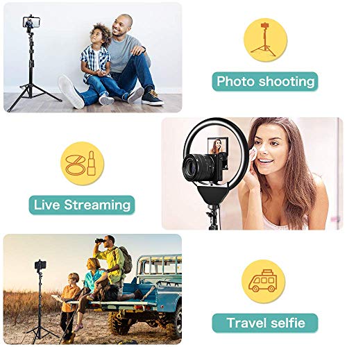 UBeesize 10’’ Ring Light with Tripod, Selfie Ring Light with 62’’ Tripod Stand, Light Ring for Video Recording ＆ Live Streaming(YouTube, Instagram, TIK Tok), Compatible with Phones and Cameras