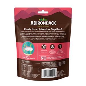 Adirondack Grain Free Cat Treats Made in USA Only (Single Ingredient Freeze Dried Cat Treats), Pure Salmon, 0.7 oz. Resealable Bag