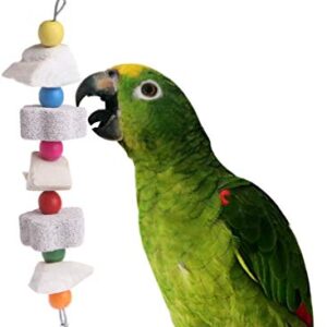 Litewoo Parrot Bird Chew Toys 2-Pcs, Bird Beak Trim Cuttlebone Calcium Stone Lava Block Chew Toy with Bell for Parakeet Conure Lovebird Cockatiel Finch Budgie Parrots