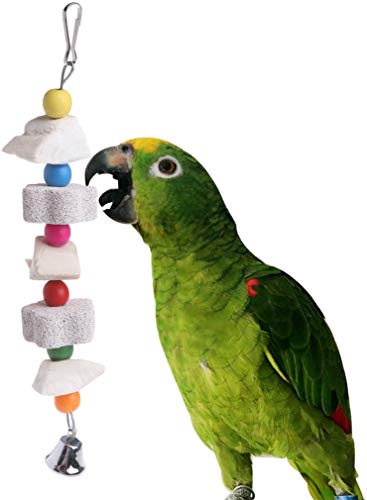 Litewoo Parrot Bird Chew Toys 2-Pcs, Bird Beak Trim Cuttlebone Calcium Stone Lava Block Chew Toy with Bell for Parakeet Conure Lovebird Cockatiel Finch Budgie Parrots