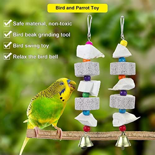 Litewoo Parrot Bird Chew Toys 2-Pcs, Bird Beak Trim Cuttlebone Calcium Stone Lava Block Chew Toy with Bell for Parakeet Conure Lovebird Cockatiel Finch Budgie Parrots