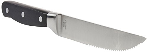 Amazon Basics Premium 8-Piece Kitchen Steak Knife Set, Black & Stainless Steel Dinner Spoons with Round Edge, Pack of 12