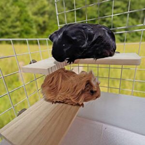 Pack of 2 (L-Shaped & Rectangle) Wood Activity Platforms for Cage Shelves & Wood Perch Ledges for Small Animals Cages and Pets like Hamsters, Mice, Chinchilla, Guinea Pigs, Birds, Rats.